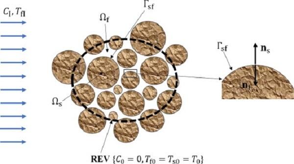 Modeling Transport Phenomena in Porous Media with